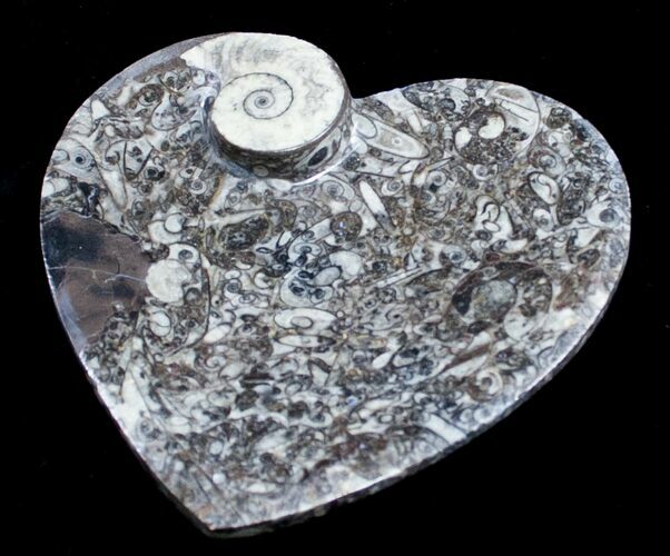 Heart Shaped Fossil Goniatite Dish #8876